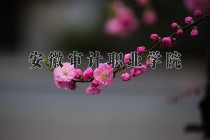 2024年安徽审计职业学院在河南计划招生人数（附学费及专业录取分)