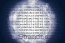 过敏性红疹子图片，过敏性红疹子图片严重