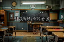 2024年成都大学(中外合作)在重庆计划招生人数（附学费及专业录取分)