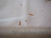 头孢氨苄胶囊说明书湖南，头孢氨苄胶囊说明书