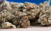 胆囊炎吃什么药好得快德国的药，胆囊炎吃什么药好得快