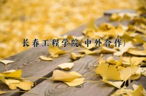 2024年长春工程学院(中外合作)在四川计划招生人数（附学费及专业录取分)