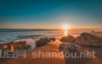 世界上最震撼的海兽，十大令人震惊的海洋物种