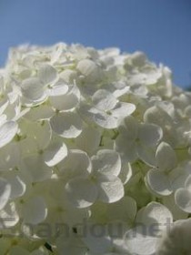 豆腐渣能不能用手去抠，豆腐渣用手掏干净了就好了吗