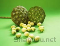 农村草药大全图解，农村100种草药图片