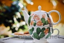 唐菖蒲花语，唐菖蒲
