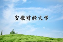 安徽财经大学2024年各学科排名一览表！附教育部评级比例