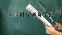2024年陕西国际商贸学院在新疆计划招生人数（附学费及专业录取分)