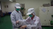 义齿加工厂招聘信息，成都义齿加工厂招聘信息
