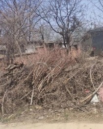 中国最邋遢的村子（最邋遢的人）