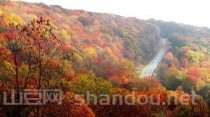拯救中国最北公路，中国最北的公路