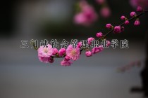 2024年三门峡社会管理职业学院在河北计划招生人数（附学费及专业录取分)