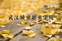 2024年武汉城市职业学院在四川计划招生人数（附学费及专业录取分)