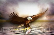 我问你世界上最能飞的鱼是啥，世界上最疯狂的飞鱼