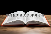 2024年郑州轻工业大学(中外合作)在四川计划招生人数（附学费及专业录取分)