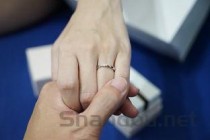 罗汉松图片，罗汉松图片大全大图