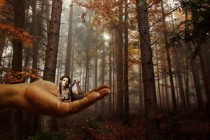 世界上最勇敢的拘，世界上最勇敢的人