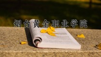 2024年烟台黄金职业学院在新疆计划招生人数（附学费及专业录取分)