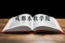 2024年成都东软学院在新疆计划招生人数（附学费及专业录取分)