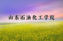 山东石油化工学院王牌专业有哪些？附2024最新王牌专业排名一览表