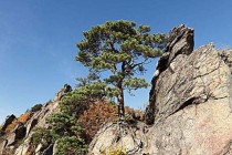 中国最坚韧山图片中国的最坚韧最诚实挣扎得