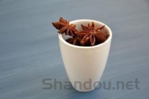 金锁固精丸的功效与副作用，金锁固精丸的功效