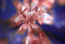 世界上最温柔的滤镜，世界上最温柔的滤镜是哪个