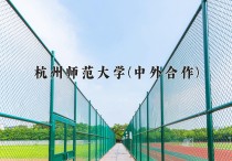 2024年杭州师范大学(中外合作)在重庆计划招生人数（附学费及专业录取分)