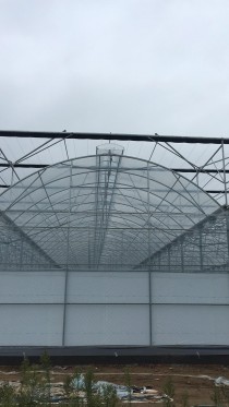 po膜厂家十大排名中国十大po膜品牌