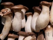 四种癌已经不是癌了是癌症前兆吗，四种癌已经不是癌了