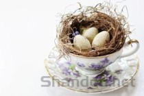 柳树图片，柳树图片简笔画