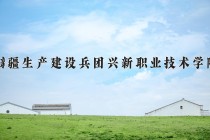 2024年新疆生产建设兵团兴新职业技术学院在新疆计划招生人数（附学费及专业录取分)