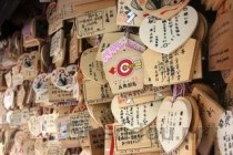 和兴白花油多少钱一瓶5毫升香港正品，和兴白花油多少钱一瓶