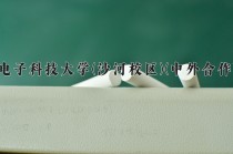 2024年电子科技大学(沙河校区)(中外合作)在四川计划招生人数（附学费及专业录取分)