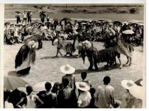 贵州美若世外桃源的小众景点苗族老祖