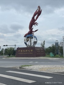 中国哪里的虾最出名全国龙虾最出名的地方