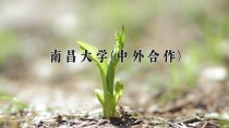 2024年南昌大学(中外合作)在四川计划招生人数（附学费及专业录取分)