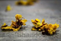 谷维素，谷维素的副作用及危害
