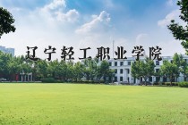 2024年辽宁轻工职业学院在新疆计划招生人数（附学费及专业录取分)