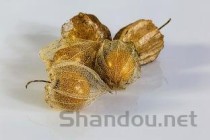 植物神经紊乱的症状有哪些表现，植物神经紊乱的症状
