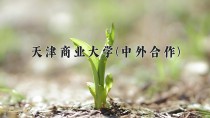 2024年天津商业大学(中外合作)在四川计划招生人数（附学费及专业录取分)
