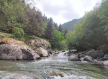 中国最感人的河,请问“一条大河波浪宽”这首歌中的大河指的是哪条河？