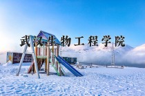 2024年武汉生物工程学院在四川计划招生人数（附学费及专业录取分)