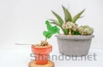 六种人不能吃铁皮石斛，六种人不能吃铁皮石斛花