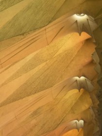 圣卓地板，圣族地板十大排名