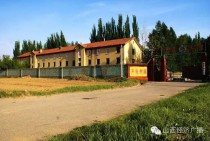 我国的北极村是指的哪（中国最奇特的村子）