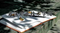 2024年武汉职业技术学院在河南计划招生人数（附学费及专业录取分)