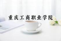 2024年重庆工商职业学院在河南计划招生人数（附学费及专业录取分)