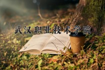 2024年武汉职业技术学院在四川计划招生人数（附学费及专业录取分)