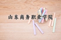 2024年山东商务职业学院在四川计划招生人数（附学费及专业录取分)